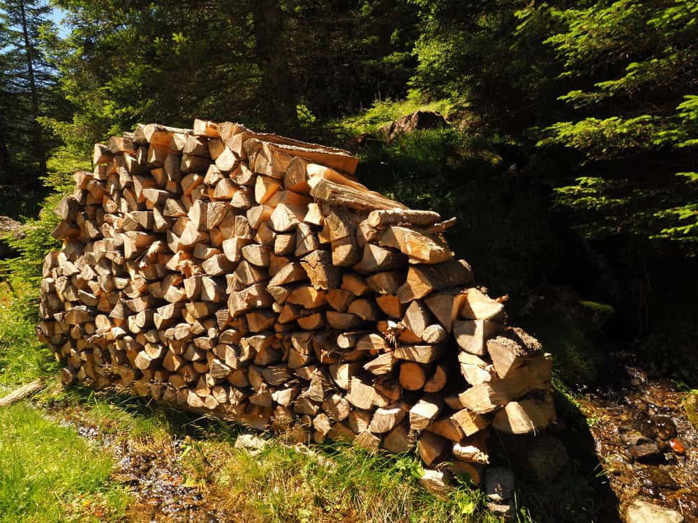 Stack of cut firewood for tree trimming and yard cleanup.