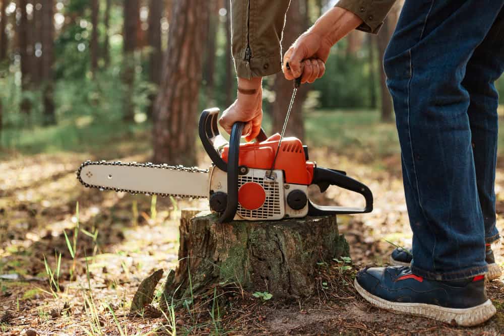 Person using chainsaw for tree trimming in forest setting.
